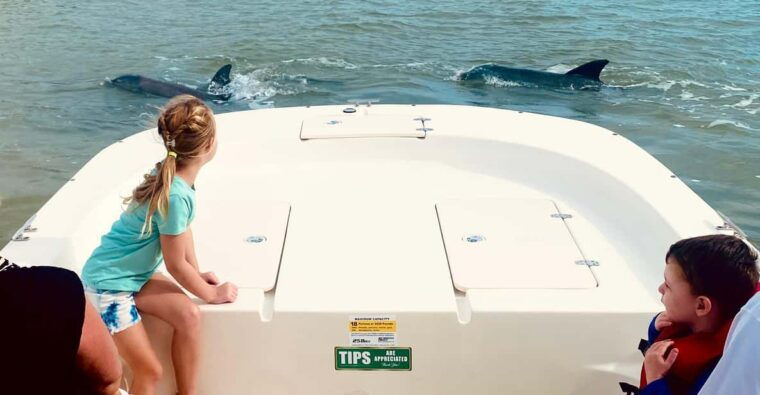 from-goodland-private-shelling-and-dolphin-watching-cruise