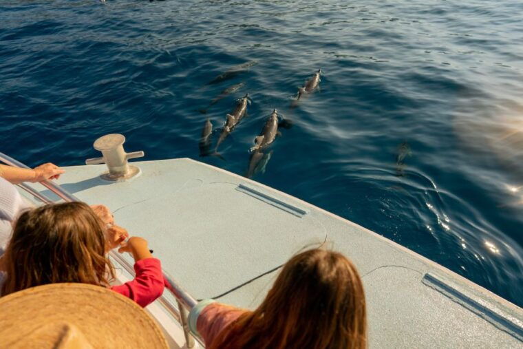 from-hawaii-eco-friendly-snorkeling-experience-with-bbq