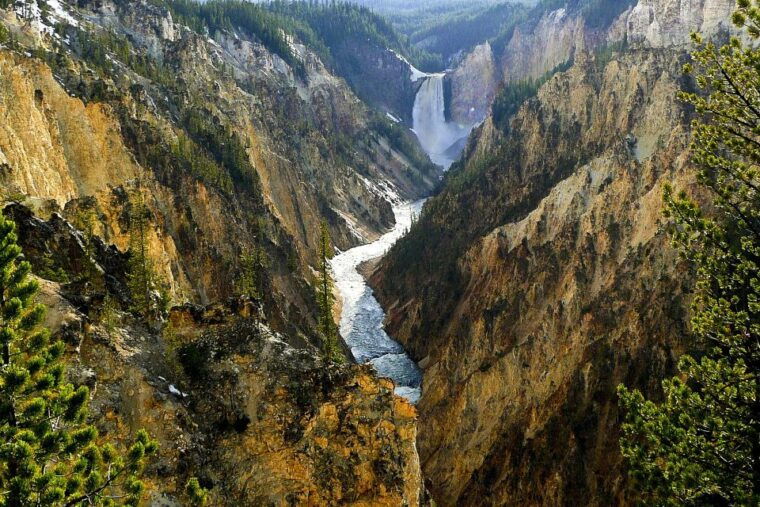 from-jackson-yellowstone-day-tour-including-entrance-fee
