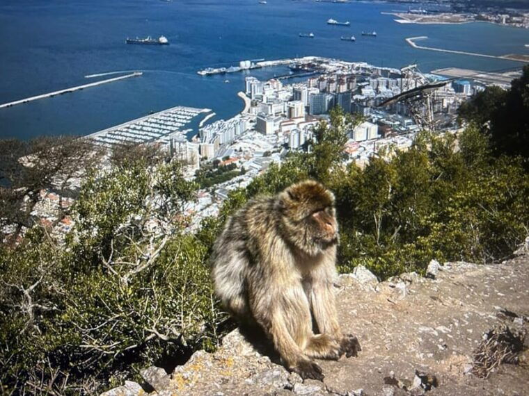 from-la-cala-marbella-estepona-vip-gibraltar-tour-with-monkey-rock-shopping