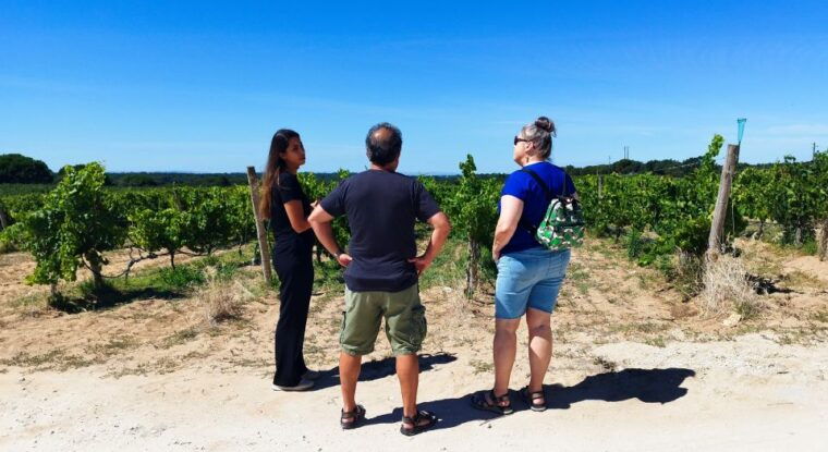 from-lisbon-setubal-arrabida-wine-tour-with-lunch