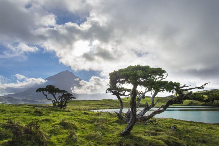from-madalena-pico-volcanoes-and-lakes-guided-day-tour