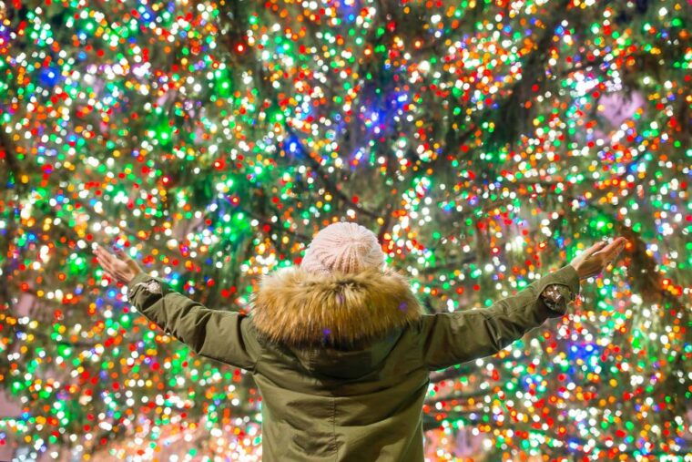 from-manhattan-4-hour-christmas-lights-luxury-bus-tour