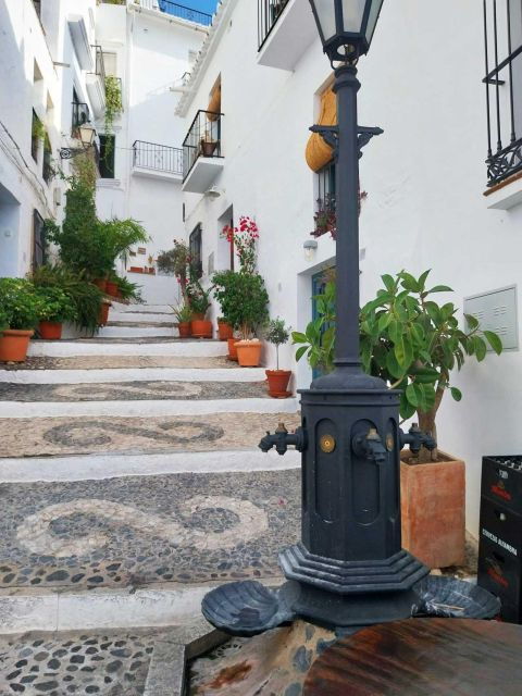 from-marbella-frigiliana-nerja-food-history-day-tour
