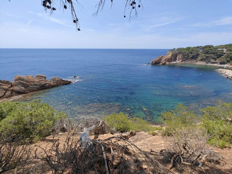from-marseille-to-the-calanques-blueues-by-train-hike-lagoons-and-villages