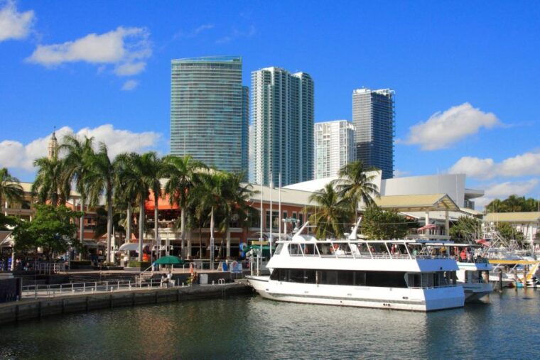 from-miami-everglades-wildlife-show-airboat-bus-transfer