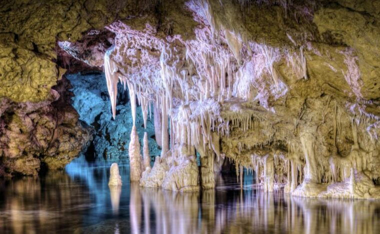 from-palma-de-mallorca-dinosaurland-tour