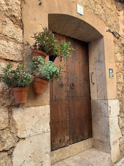 from-palma-valldemossa-tour-and-mountain-viewpoint-hike