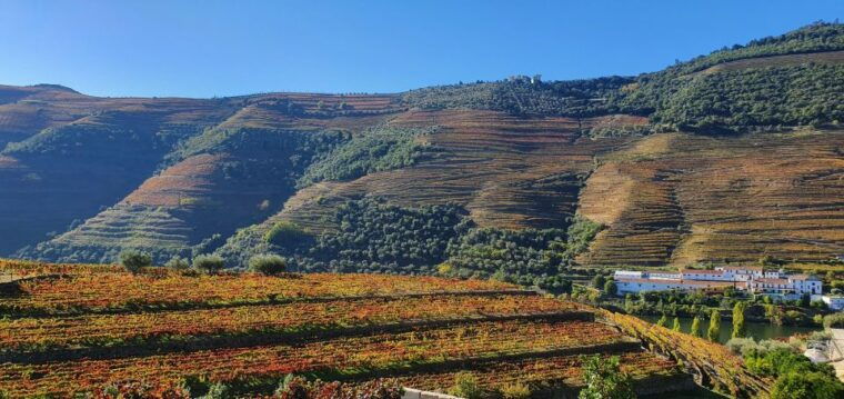 from-porto-day-douro-valley-wine-tour-2-wineries-lunch