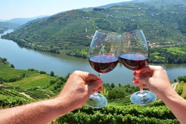 from-porto-private-douro-valley-tour-with-booking-service