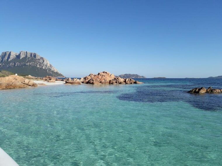from-porto-san-paolo-4-hour-boat-tour-to-tavolara