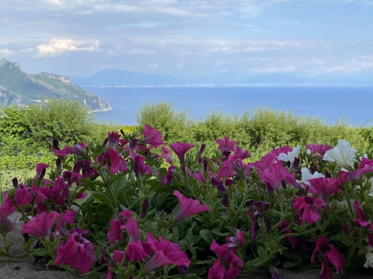 from-positano-amalfi-and-ravello-private-day-trip