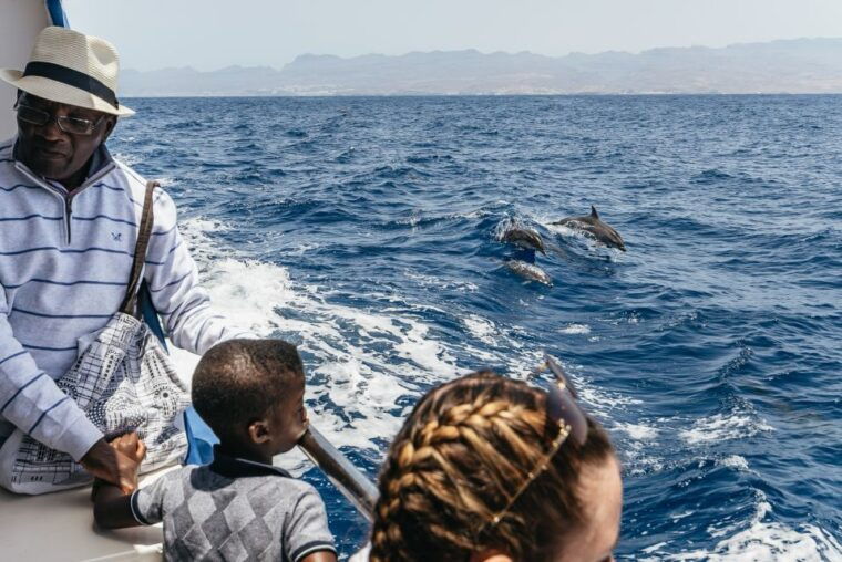 from-puerto-rico-de-gran-canaria-dolphin-watching-cruise