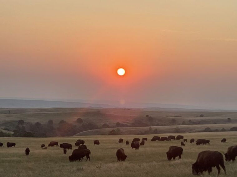 from-rapid-city-epic-badlands-tour-and-legendary-wall-drug