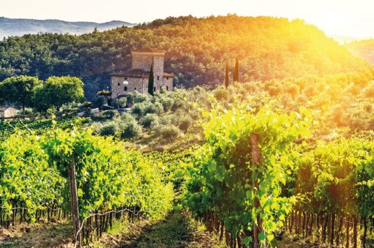 from-san-gimignano-vespa-tour-in-chianti