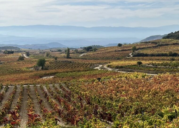 from-san-sebastian-rioja-private-day-trip-with-wine-tasting