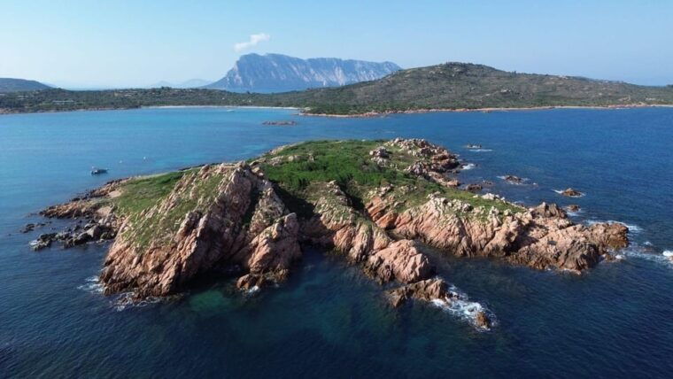 from-san-teodoro-snorkeling-in-tavolara-and-molara