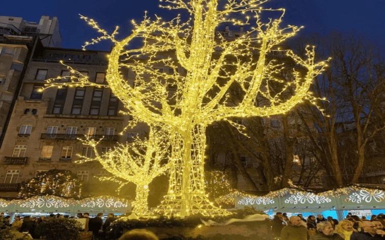 from-santiago-christmas-lights-of-vigo-and-pontevedra