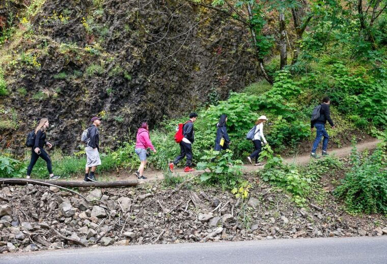 from-seattle-snoqualmie-twin-falls-and-ancient-forest-trip