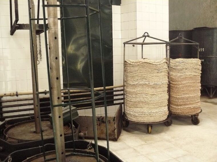 from-seville-olive-oil-farm-tour
