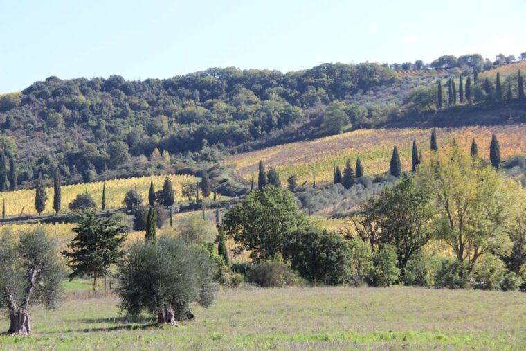 from-siena-chianti-wine-tour-with-lunch