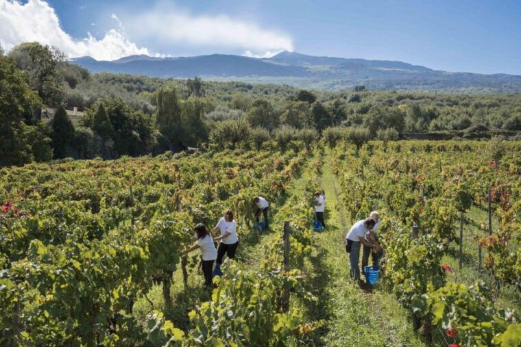 from-siracusa-day-tour-to-etna-volcano-winery-and-taormina