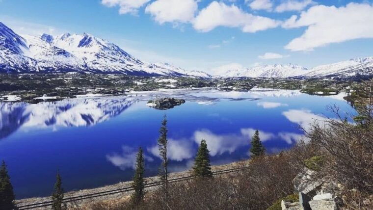 from-skagway-white-pass-and-yukon-suspension-bridge-tour