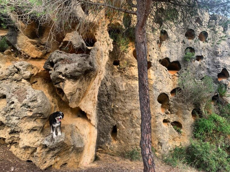 from-tarifa-guided-hiking-tour-in-the-strait-natural-park