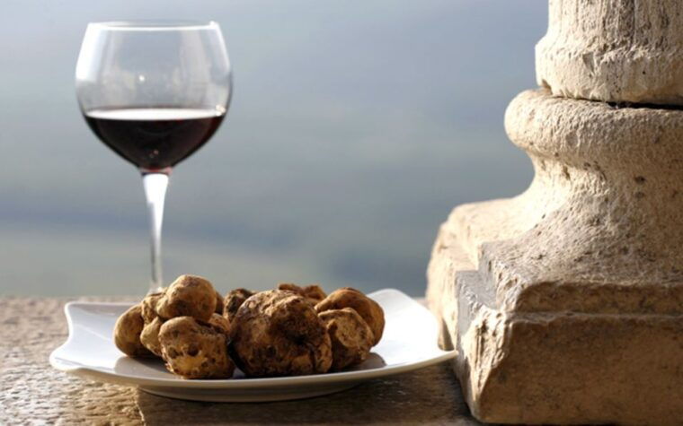 from-turin-half-day-truffle-hunting-and-lunch-in-piedmont