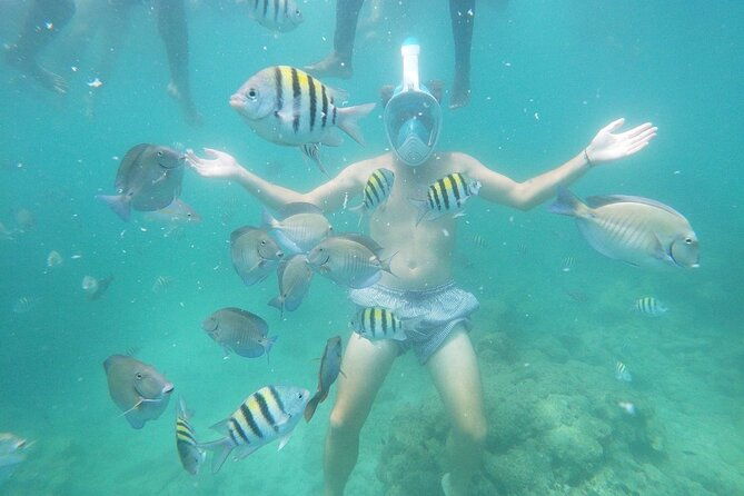 full-day-in-baru-mangroves-and-luminous-plankton-with-snorkeling