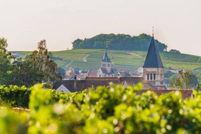 full-day-pommery-small-group-tour