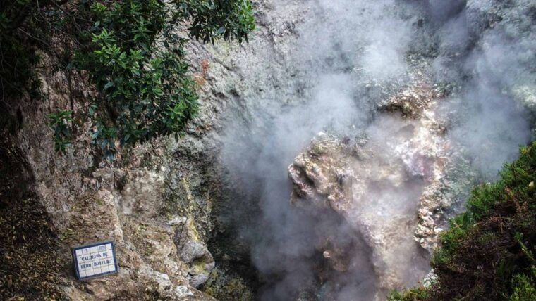 furnas-terra-nostra-botanic-park-guided-tour-w-hotsprings