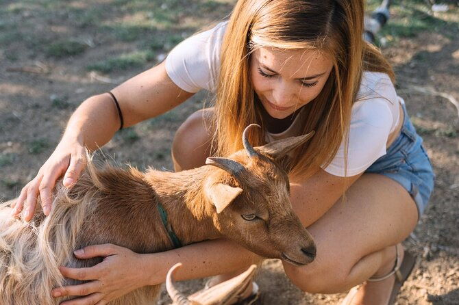 gallura-picnic-in-the-farm-with-animals
