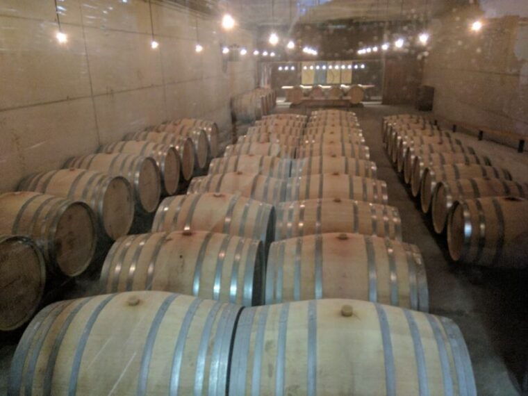 girona-local-wineries-tour-with-breakfast-and-wine-tasting