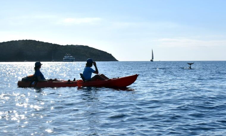 golfo-aranci-sunrise-dolphin-kayak-tour-with-breakfast