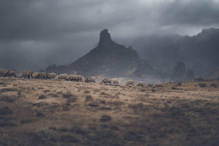 gran-canaria-full-day-customizable-private-photography-tour