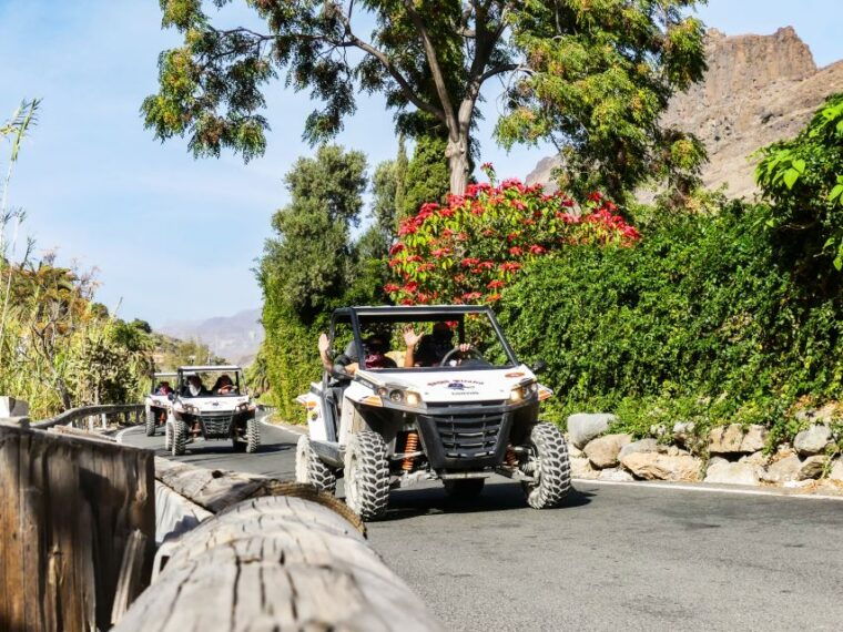 gran-canaria-guided-buggy-tour