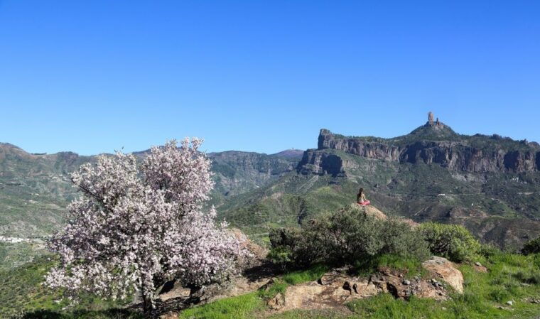 gran-canaria-highlights-full-day-tour-by-bus