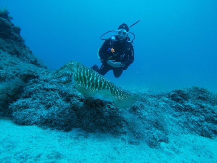 gran-canaria-try-scuba-diving-for-beginners