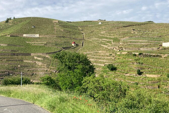 guided-tour-of-the-coteaux-cote-rotie-for-parents-and-children-duos