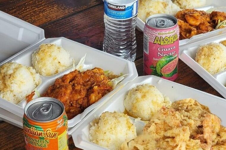 hawaii-oahu-island-sightseeing-and-food-combo-tour