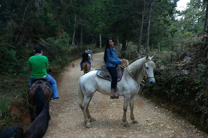 horseback-ride-around-medellins-beautiful-countryside