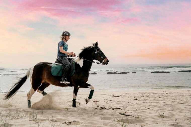 horseback-riding-tour-3