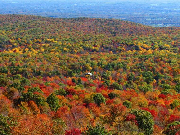 hudson-valley-fall-foliage-shared-helicopter-tour