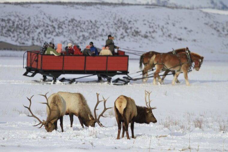 jackson-4-day-grand-teton-yellowstone-winter-tour