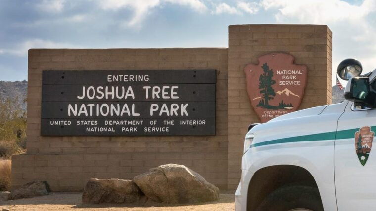 journey-into-joshua-tree-audio-driving-tour-and-local-guide