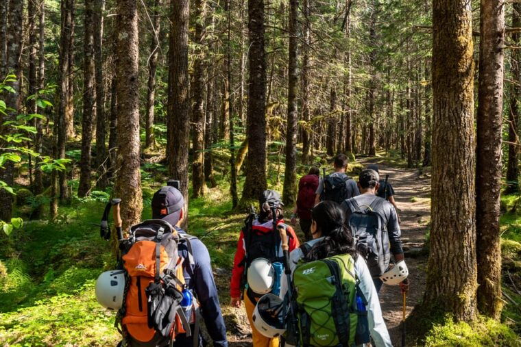 juneau-mendenhall-glacier-guided-trail-hike