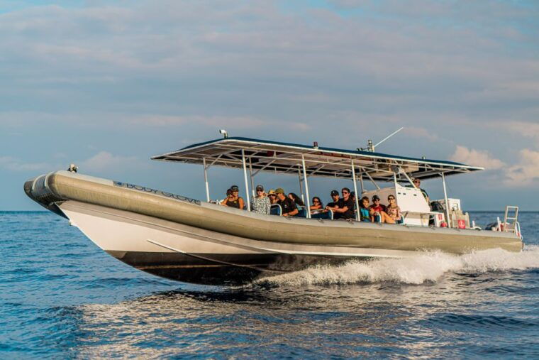 kailua-kona-big-island-morning-snorkeling-tour-with-lunch