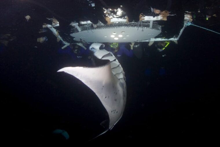 kailua-kona-private-marine-charter-adventure