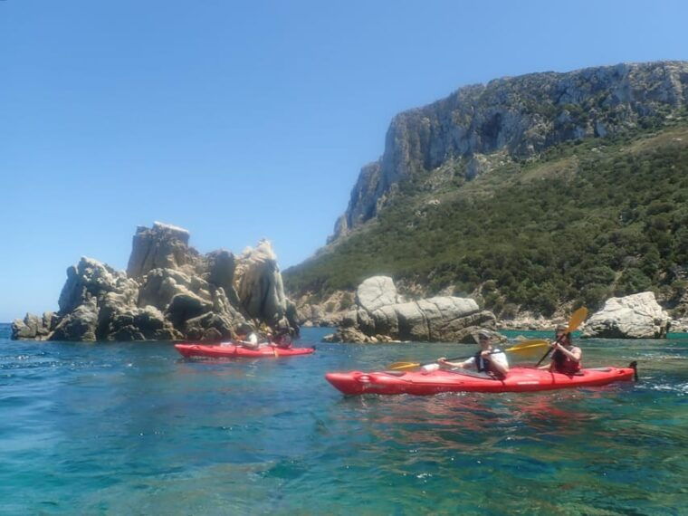 kayak-tour-of-capo-figari-golfo-aranci-3-hours